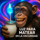 Compra 1 y llévate 3 Luz Led Para BOMBILLA ®️