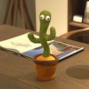 Dancing Cactus®️ HOY 30%OFF + Envio GRATIS